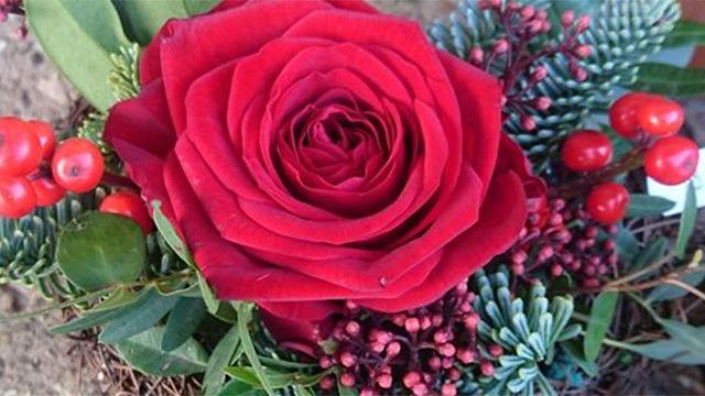 En smuk rød rose omgivet af grønne grene og røde bær i en dekorativ blomsterarrangement.