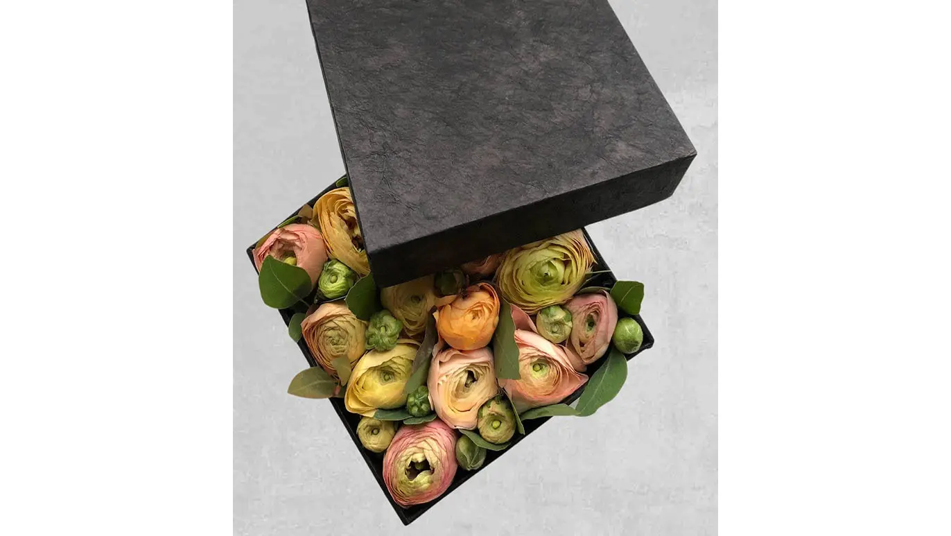 En sort æske åbner sig og afslører en farverig samling af blomster og grønne blade indeni.