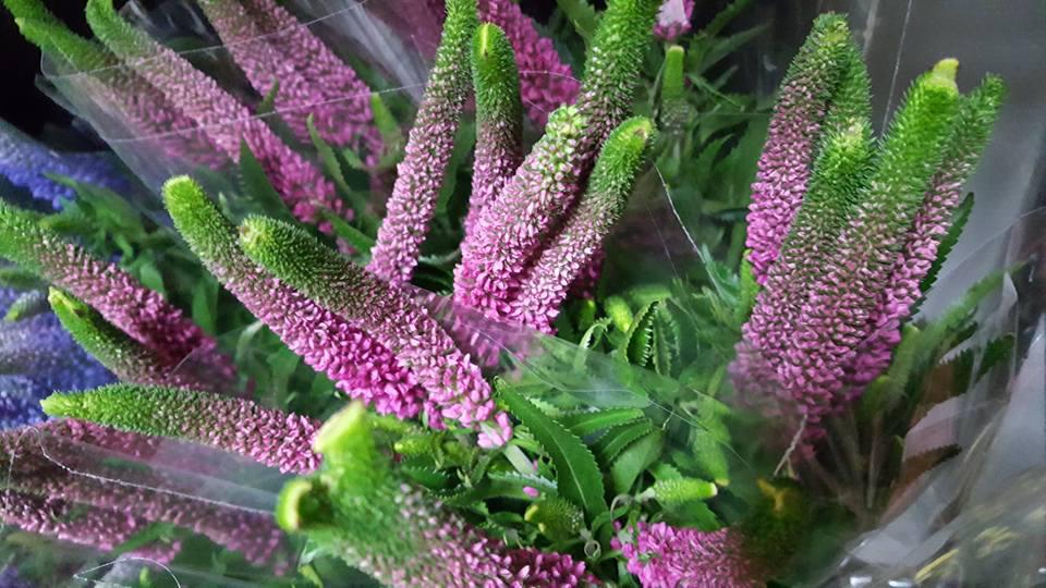 Helles Blomster 4