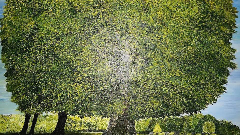 Et stort, frodigt træ med en tæt, grøn krone under en klar blå himmel.
