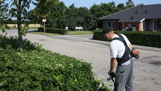 En mand klipper en hæk med en hækkeklipper ved en boligvej på en solrig dag.