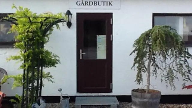 Indgang til en gårdbutik med grønne planter og en lampe ved døren.