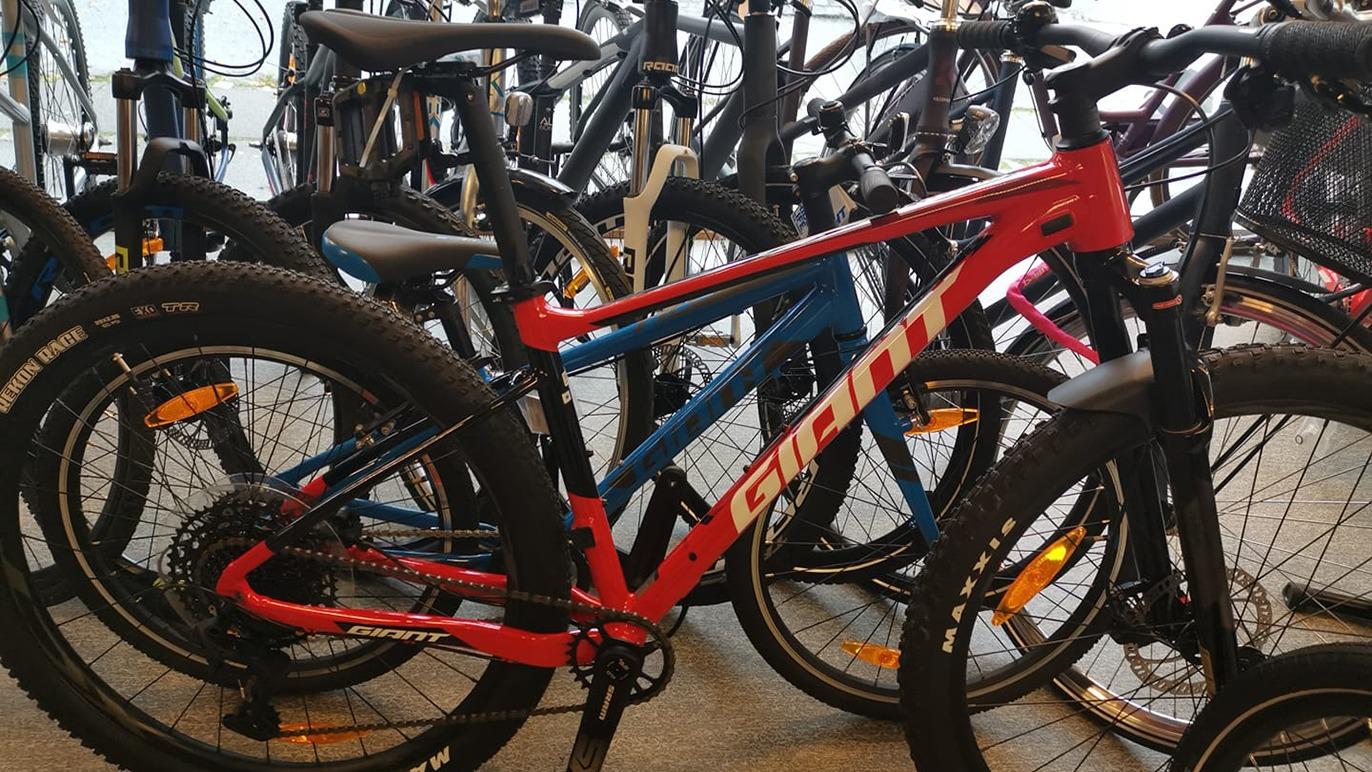 En rød og sort mountainbike blandt flere cykler i en cykelbutik.
