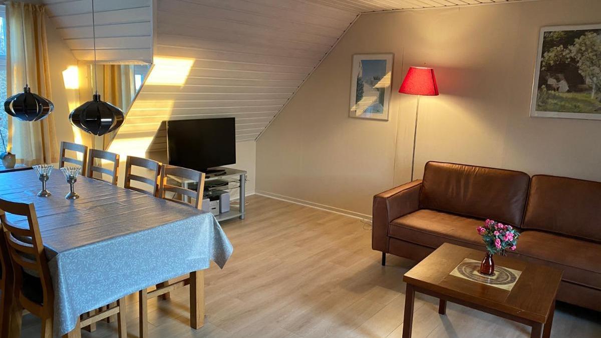 Stue med spisebord, sofa, tv og lampe, belyst af sollys, i en hyggelig indretning.