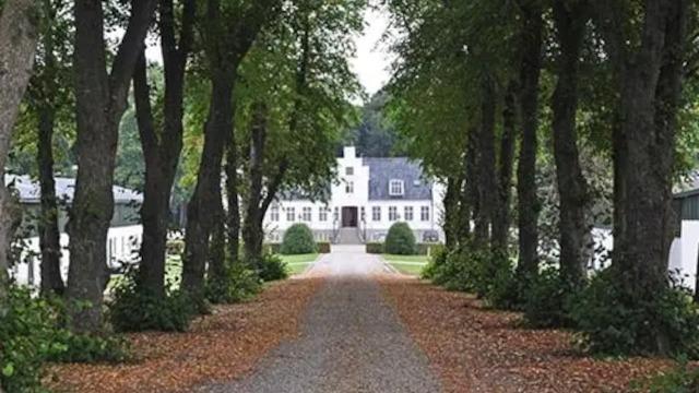En grusvej omgivet af træer fører til en stor, hvid villa med en smuk facade.