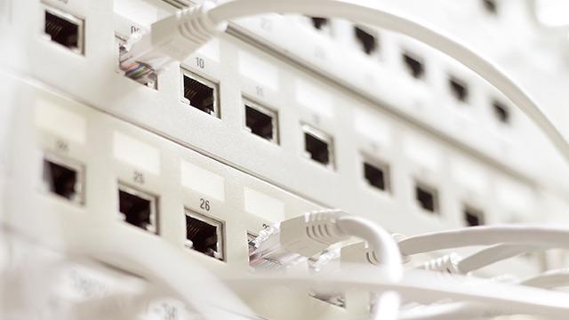 Billede af en netværks-switch med flere tilsluttede ethernet-kabler og porte.