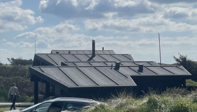 Et sort hus med skråtag og skorstene, omgivet af græs og buske under en skyet himmel.
