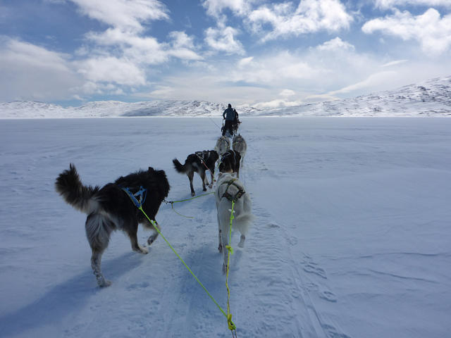 Slede med hunde trækker gennem sneen under en blå himmel med skyer og bjerge i baggrunden.