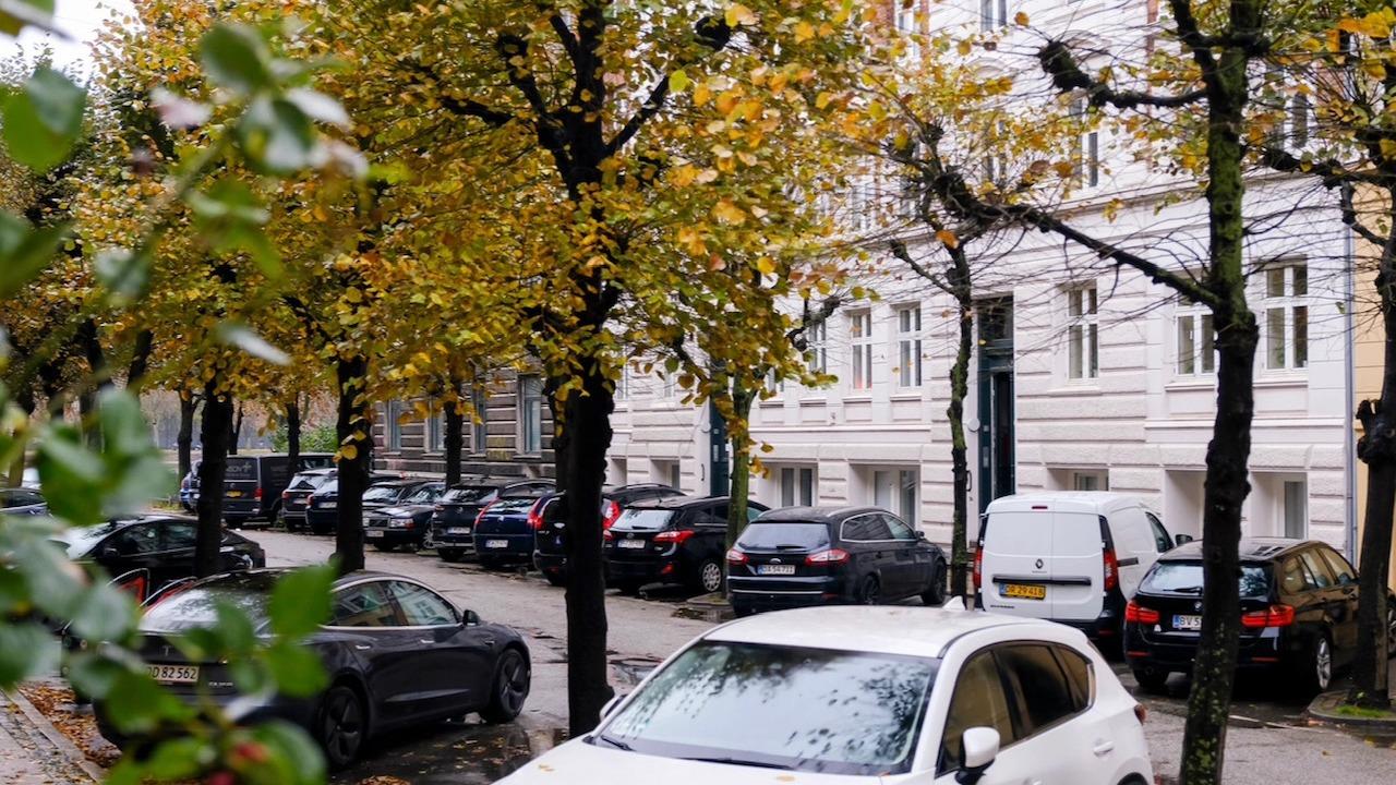 Gade med parkerede biler og træer med gule blade i efteråret. Bygninger i baggrunden.