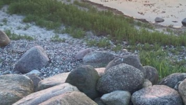 Sten og græs ved kysten, med sand og vand i baggrunden, der skaber en naturskøn udsigt.