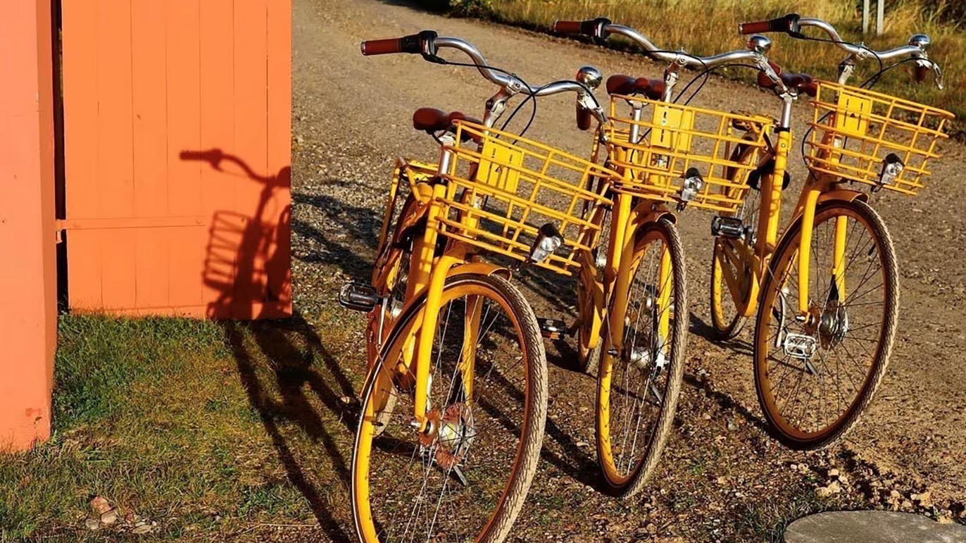 Tre gule cykler med kurve parkeret ved en orange væg på en grusvej.