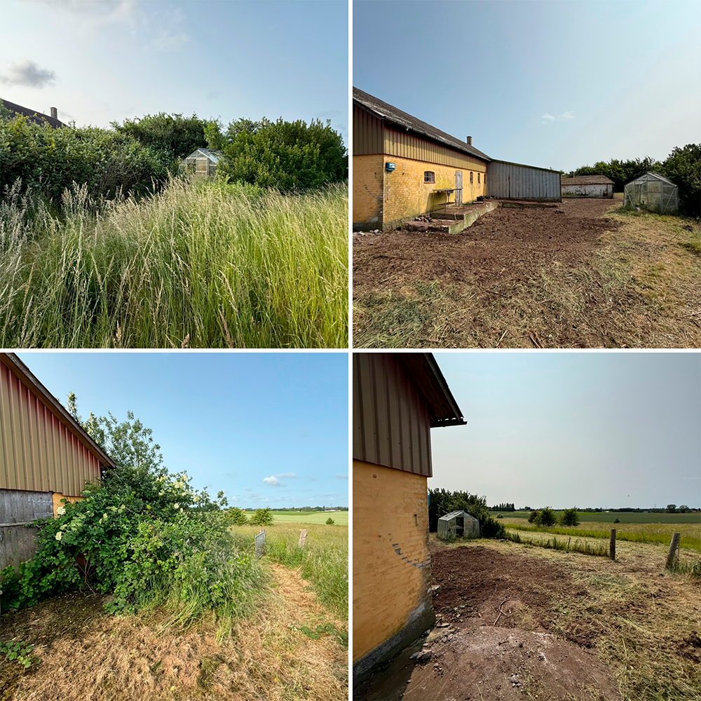Billede af en græsset gård med en gul bygning, buske og åbne marker under en blå himmel.