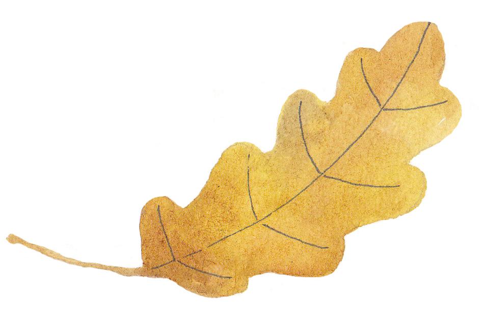 Det Gyldne Blad af Stephanie Donsø