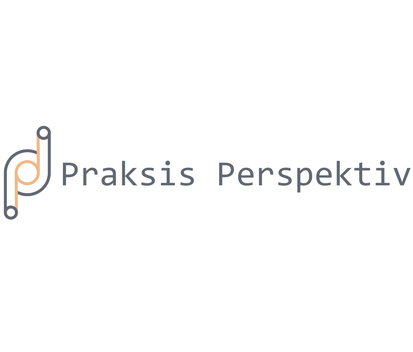 Praksisperspektiv