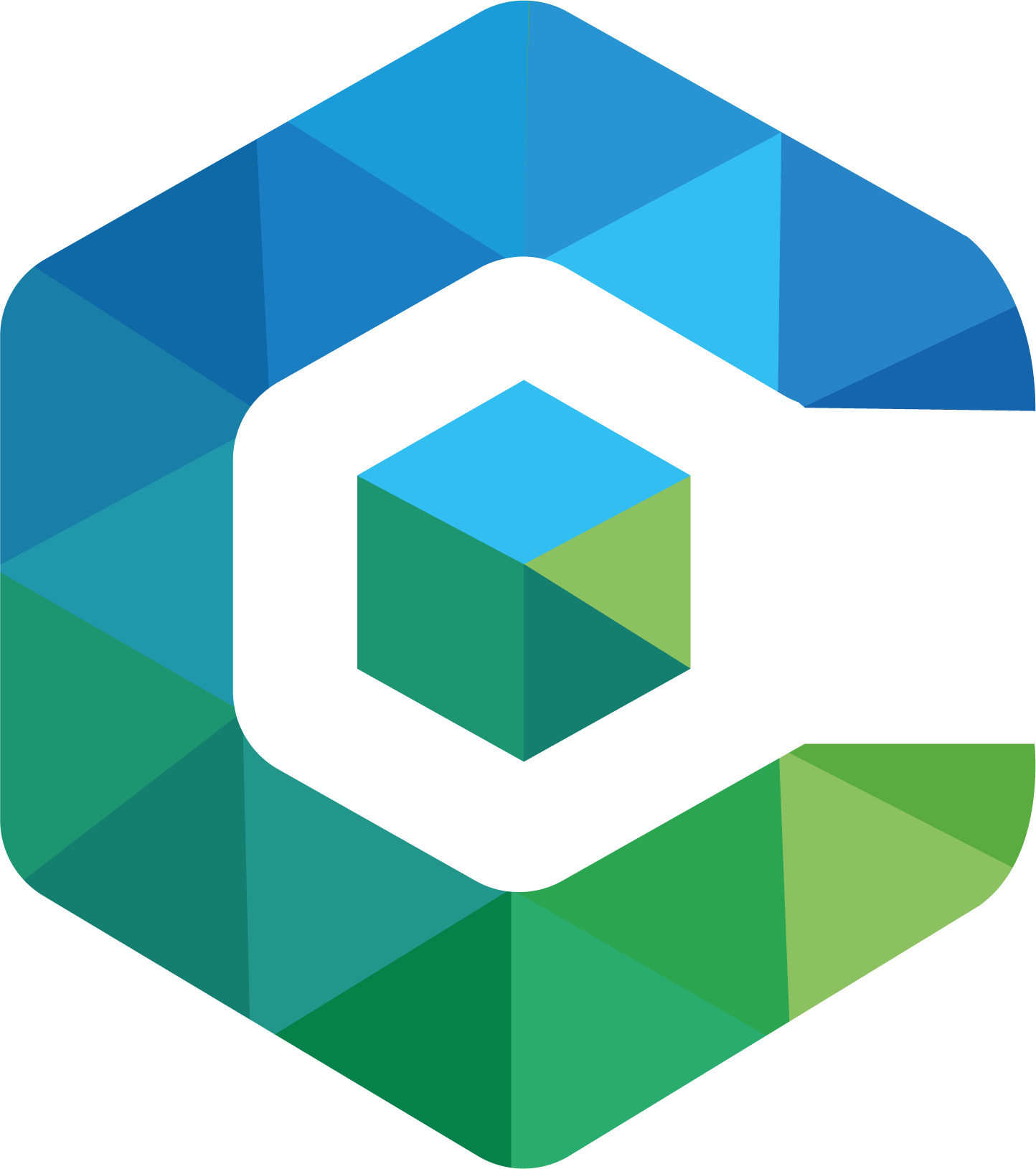 Cognitech Vejle