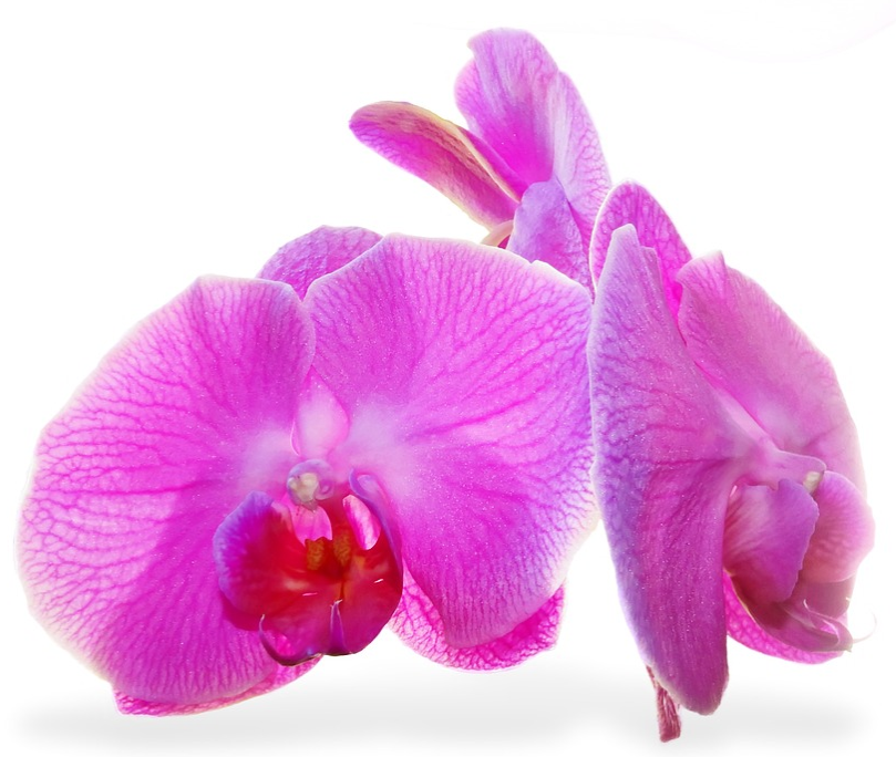 Baan Nuad Thai Massage