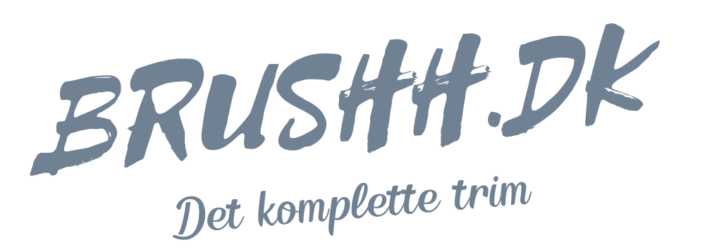 Brushh.dk