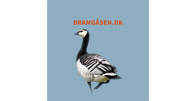 Restaurant Bramgåsen