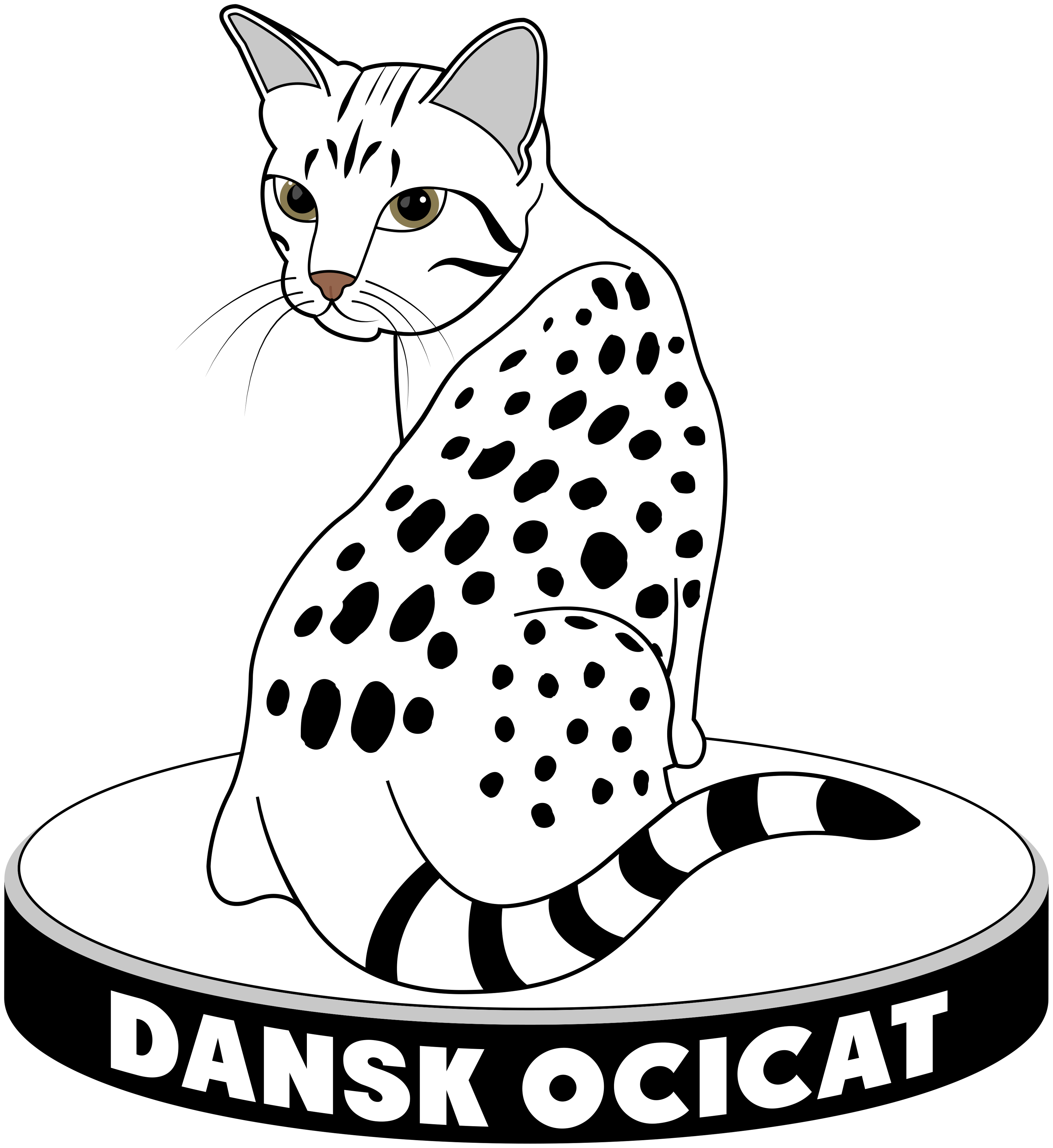 Dansk Ocicat