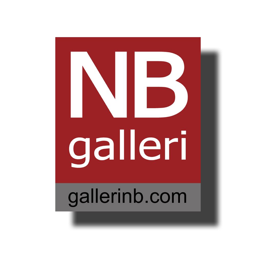 Galleri Nb Viborg ApS
