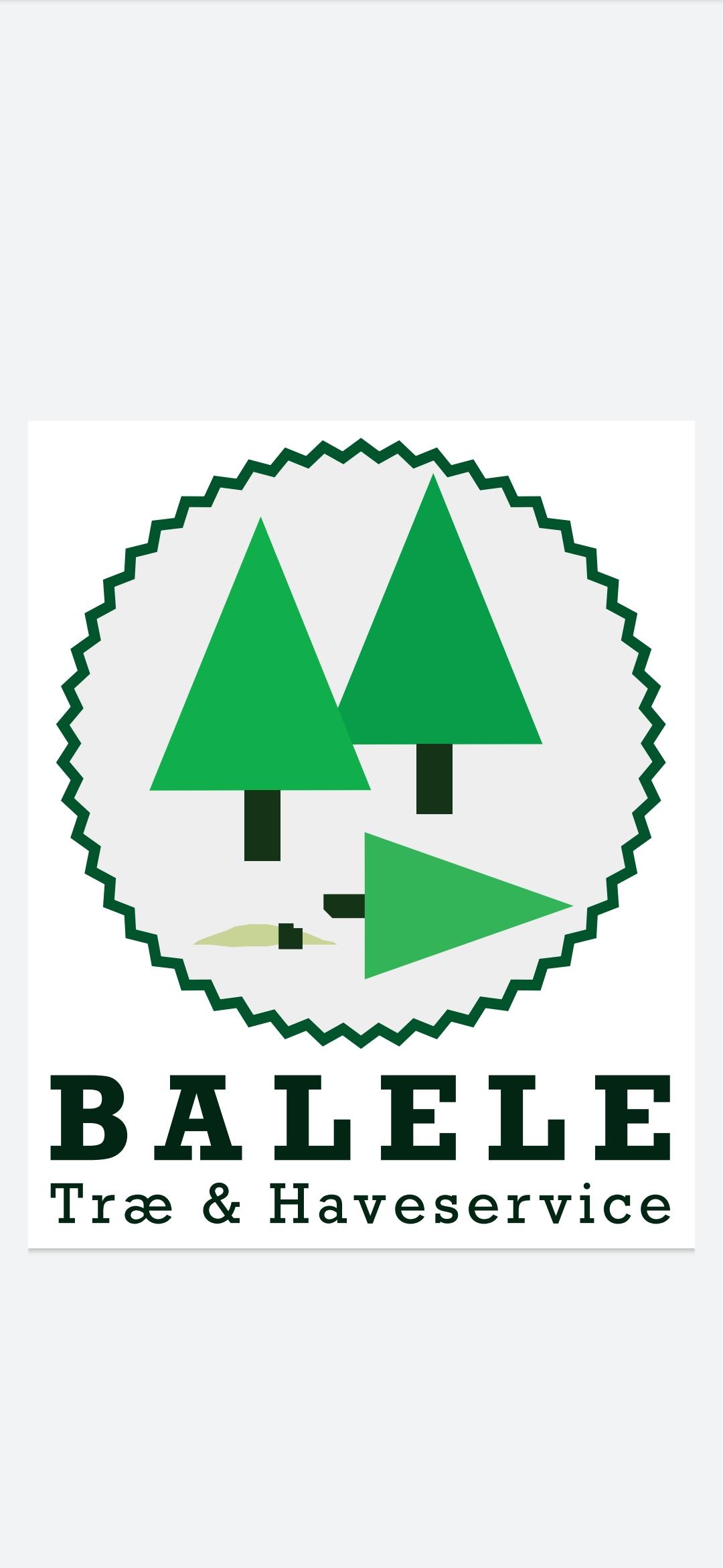 Balele Skov og Haveservice
