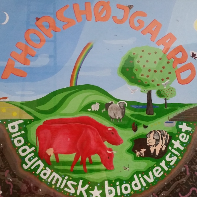 Thorshøjgård Fonden