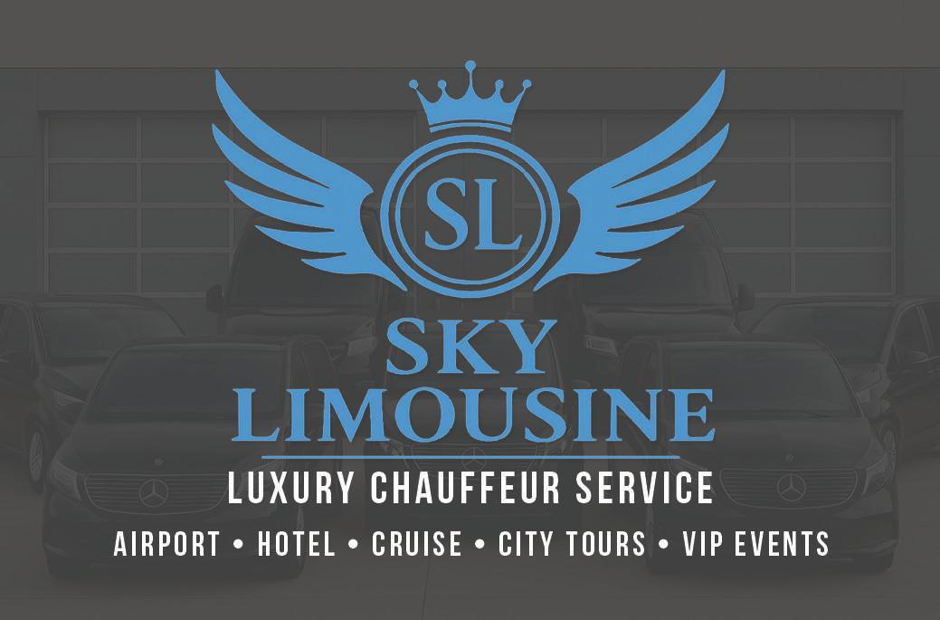 Skylimousine ApS