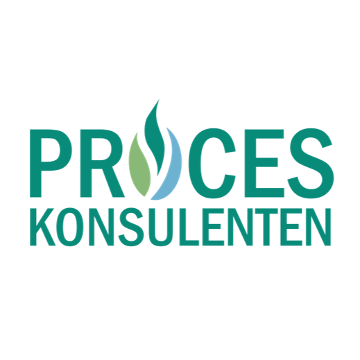 Proces-Konsulenten