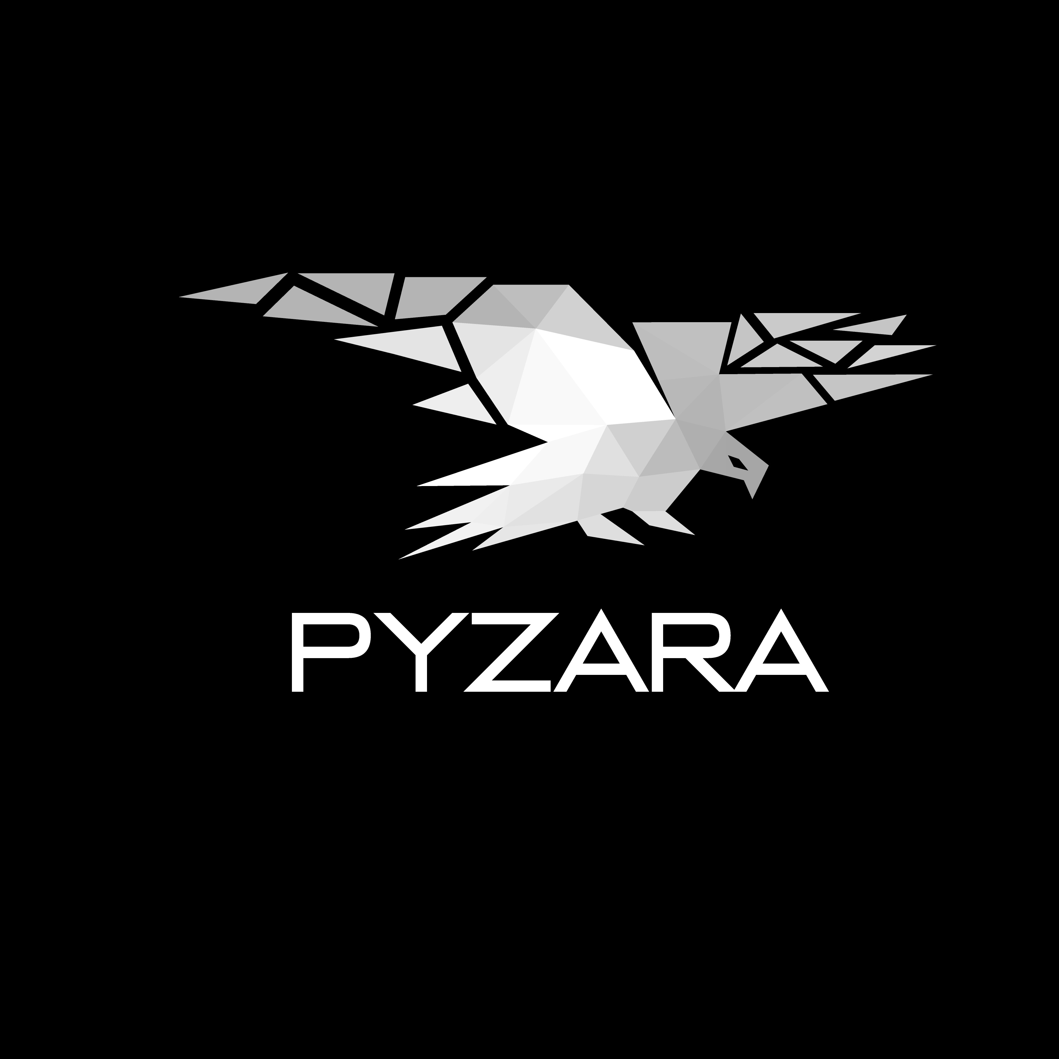 Pyzara