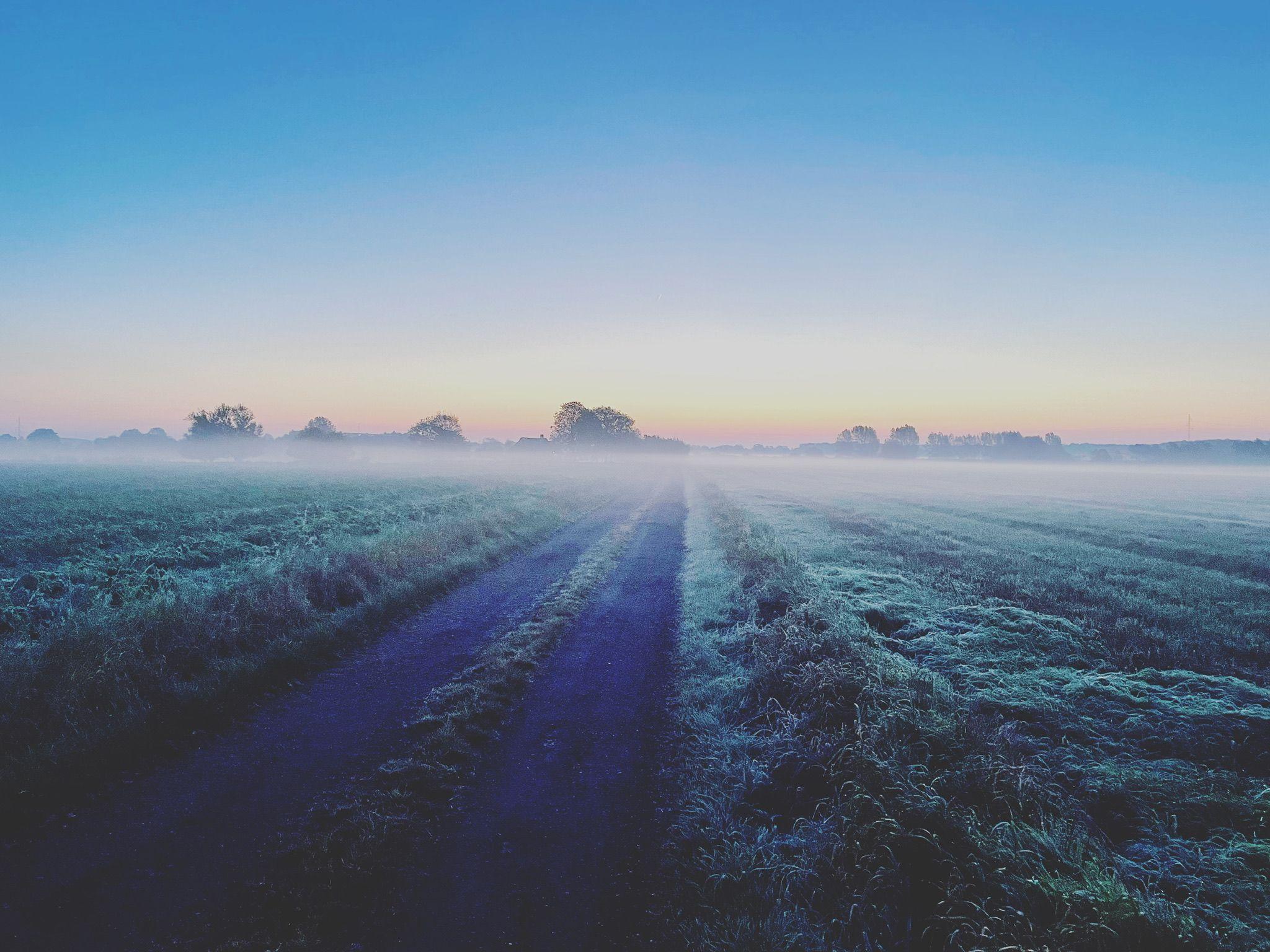 En frostmorgen med en tåget markvej og en klar blå himmel ved solopgang.