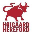 Højgaard  Hereford