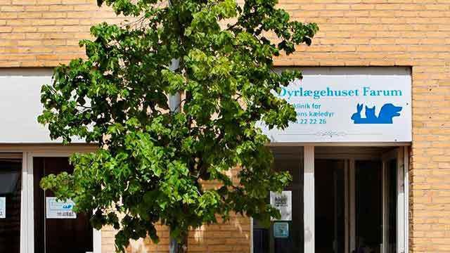 Facade af Dyrehospitalet i Farum med et træ foran og skilt med hunde- og katteikoner.