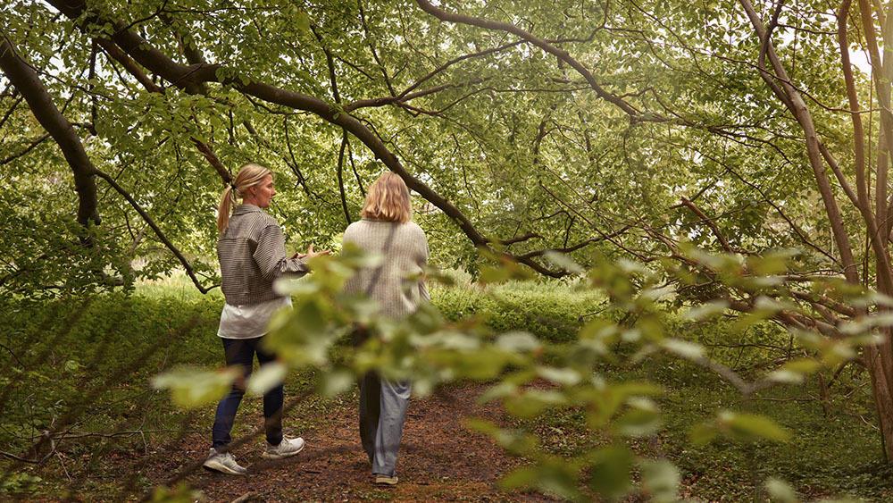 To kvinder går på en sti under træerne i en grøn skov. Sollyset skinner gennem bladene.