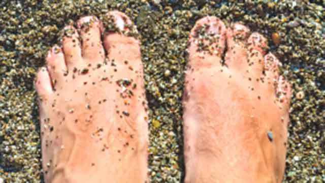 Toes dækket af sand på en strand med småsten og skaller i baggrunden.