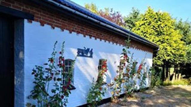 Hvidt hus med røde detaljer og klatreplanter langs væggen, omgivet af grønne træer.