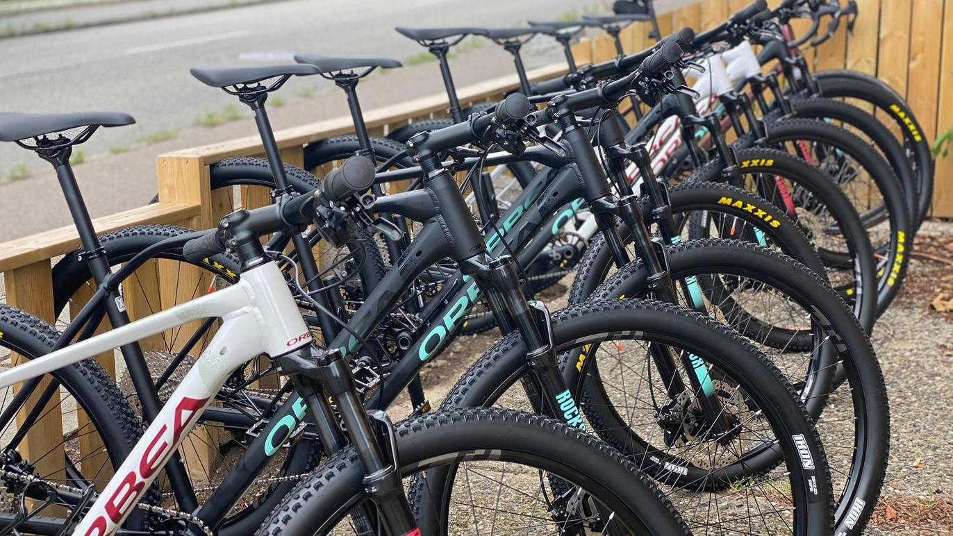 Række af mountainbikes parkeret ved en træbarriere, med forskellige farver og mærker synlige.