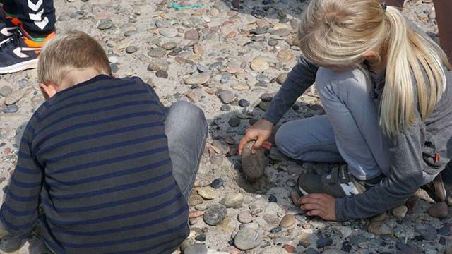 Børn, der graver i småsten ved stranden, mens de leder efter interessante sten og fossiler.