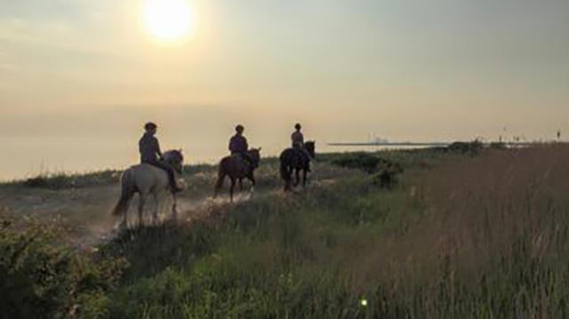 Ryttere på heste rider langs en sti ved havet under en solopgang med græs og kystlinje i baggrunden.