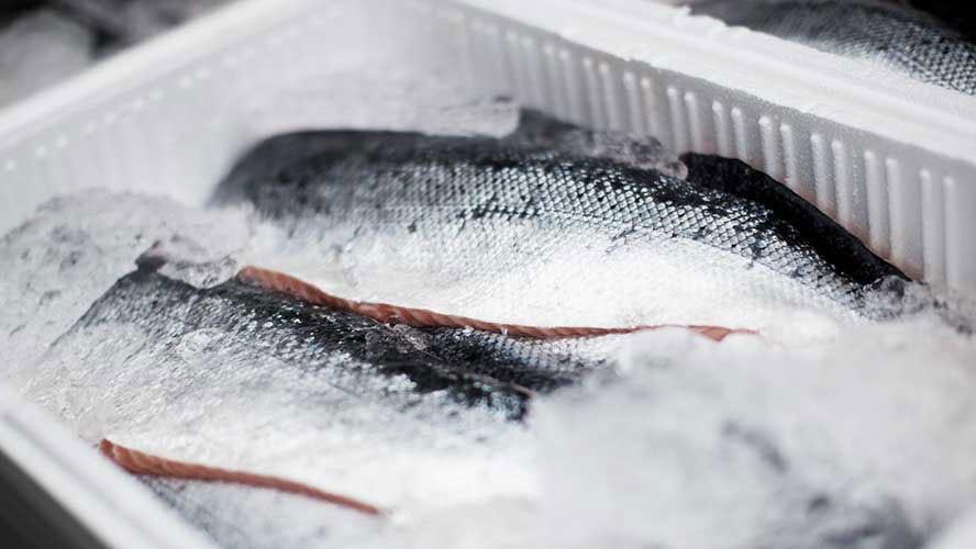 Friske fiskefileter på is i en hvid plastkasse i en fiskehandler.