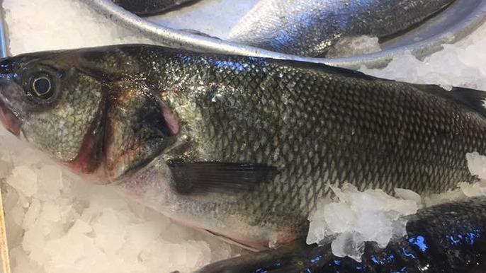 En frisk havaborre ligger på is i en fiskehandler med andre fisk i baggrunden.