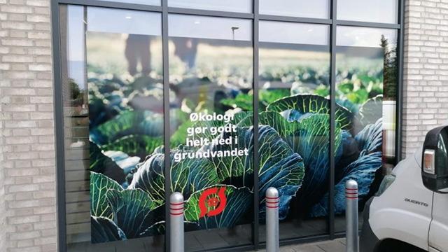 Økologisk kålplantebillede på vindue med tekst om grundvandet og økologi.