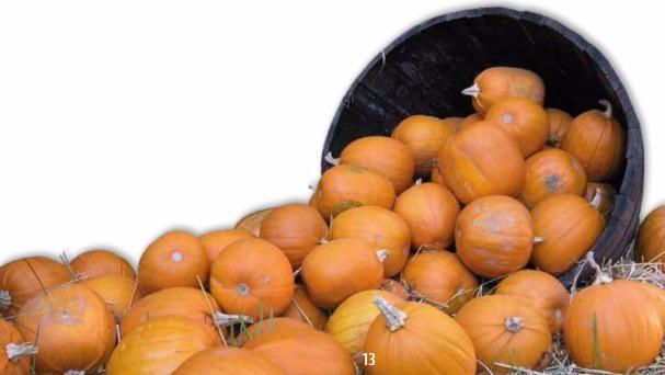 En sort spand væltet med mange orange græskar på halm.