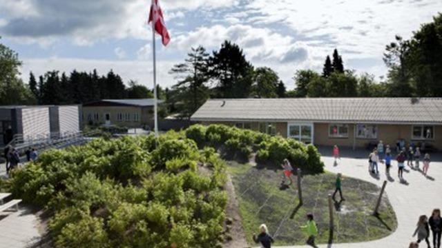 Børn leger og går rundt i skolegården med en dansk flaghejsning i baggrunden og grønne buske omkring.