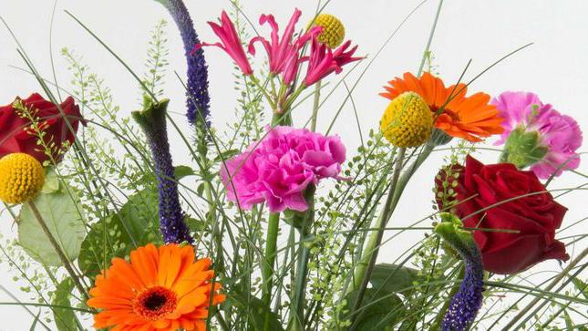 En farverig buket med roser, nelliker, gerbera, og forskellige grønne planter.