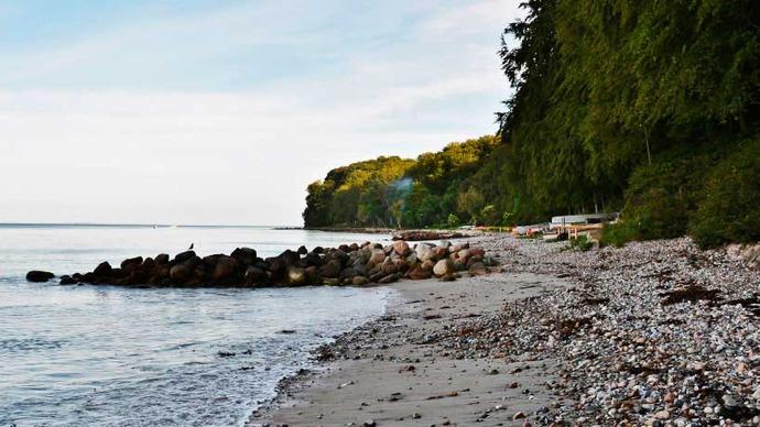En fredelig strand med småsten, klipper og grønne træer langs kysten ved vandet.