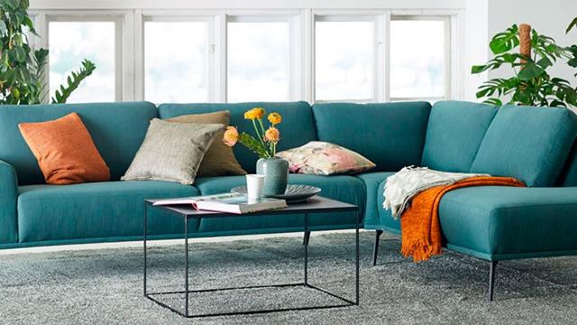Moderne teal sofa med puder, et bord med blomster og en plaid i et lyst rum med planter.