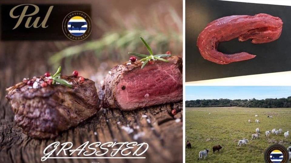 Billede af saftigt græsfodret kød med krydderurter og en græsmark med køer i baggrunden.