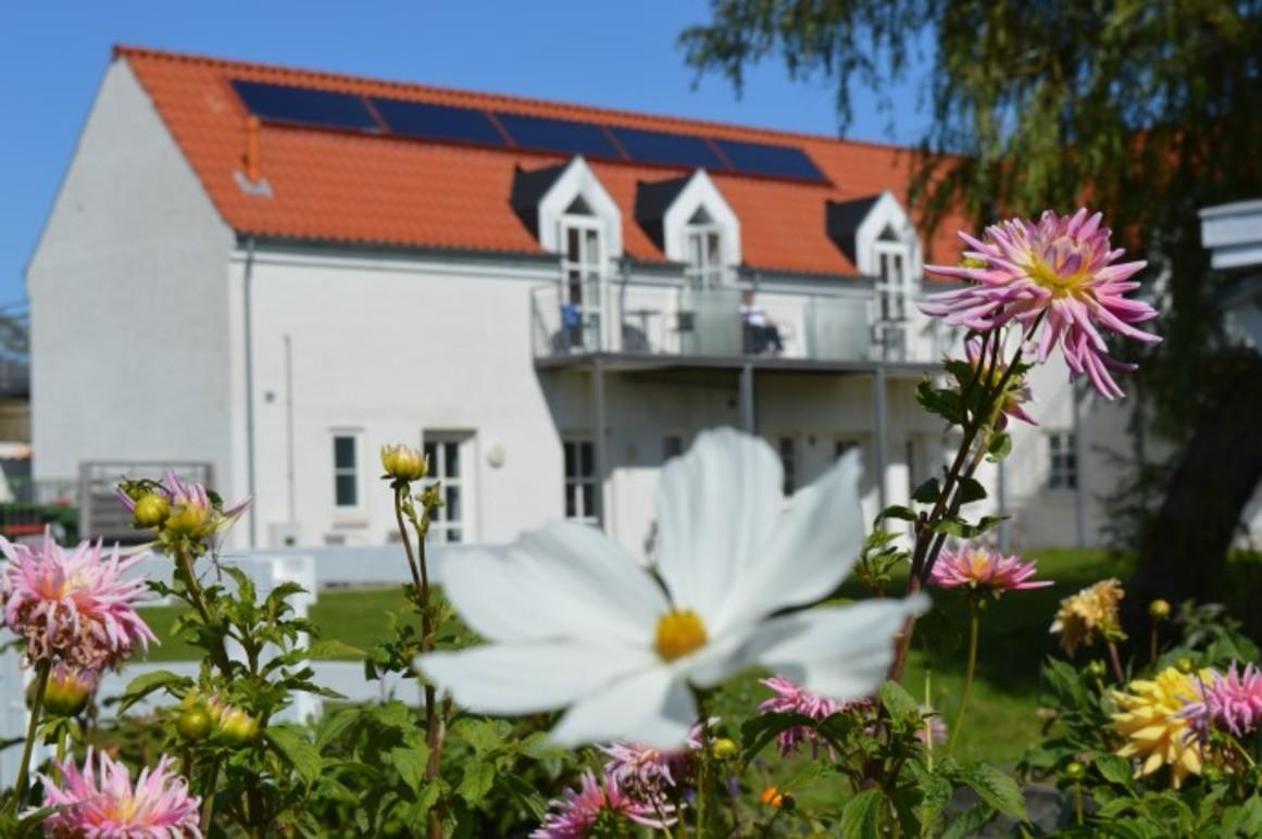 Et hus med solpaneler og blomster i forgrunden på en solrig dag.
