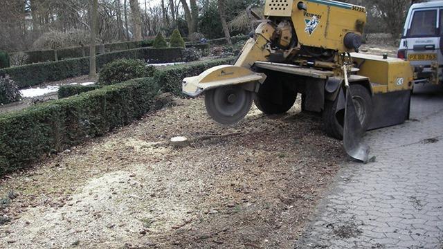 En stubbefjerner arbejder på en græsplæne, mens en bil holder parkeret i baggrunden.