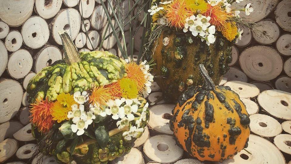 Tre dekorative græskar med blomster og farverige detaljer, præsenteret på en baggrund af træstammer.
